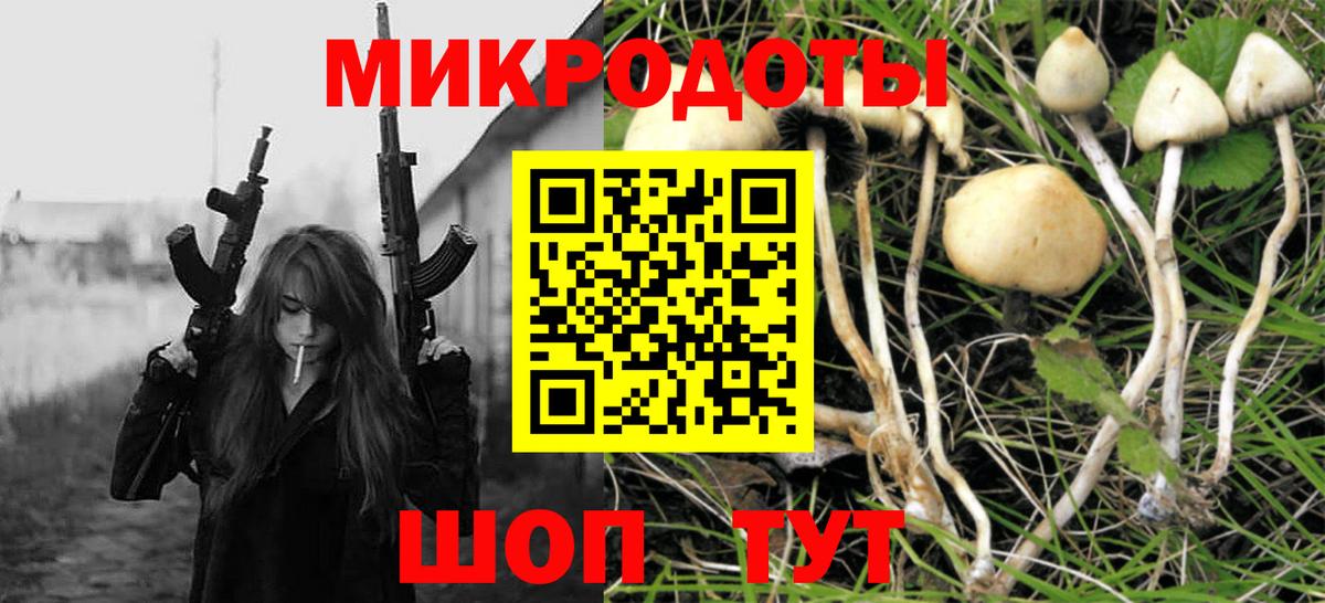 Галлюциногенные грибы мицелий Грозный