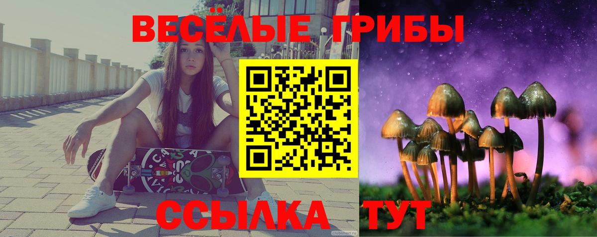 Грозный  Псилоцибиновые грибы Magic Shrooms  Вход с VPN  Галлюциногенные грибы GOLDEN TEACHER 